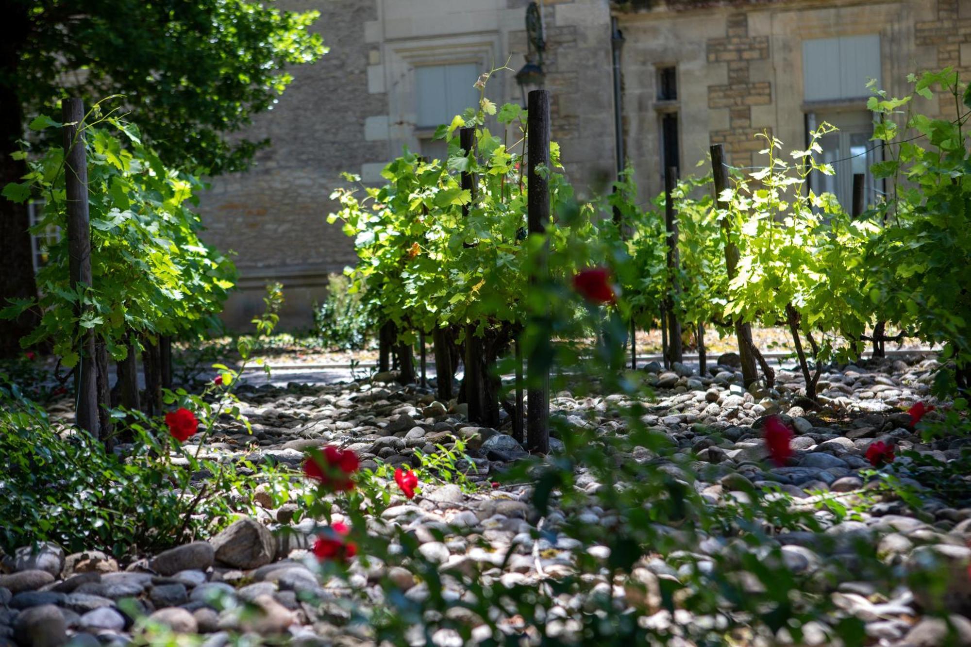 Domaine De Monrecour - Hotel & Restaurant - Proche De Sarlat Saint-Vincent-de-Cosse Exterior foto